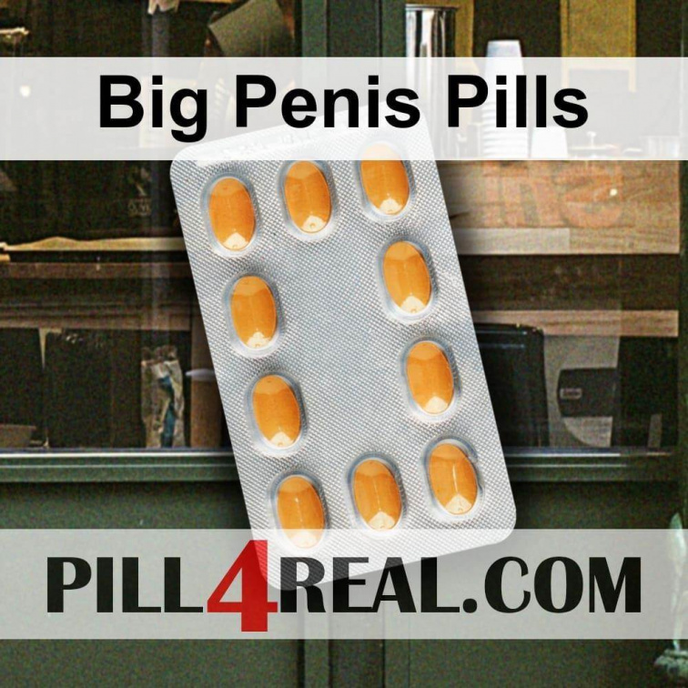 Big Penis Pills 572