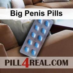 Big Penis Pills 657