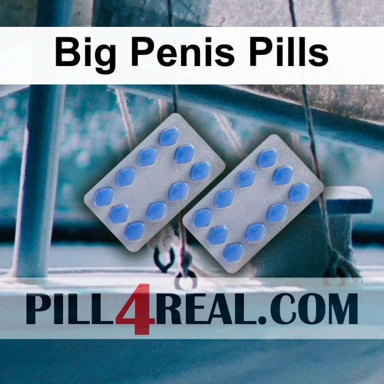 Big Penis Pills 685