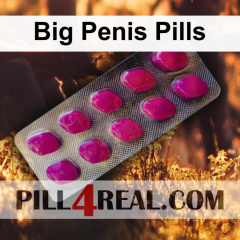 Big Penis Pills 726