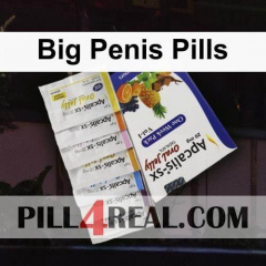 Big Penis Pills 774