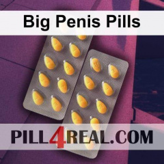 Big Penis Pills 775