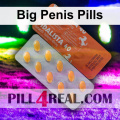 Big Penis Pills 794