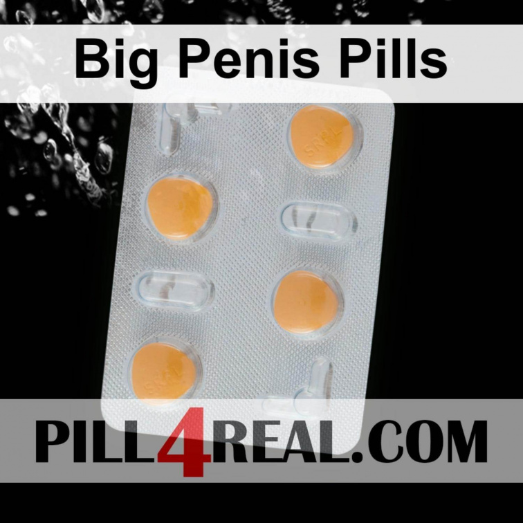 Big Penis Pills 841