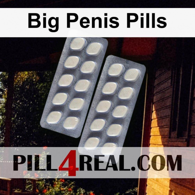 Big Penis Pills 878