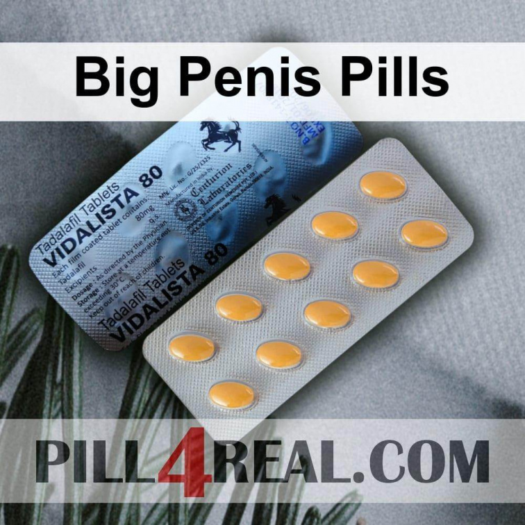 Big Penis Pills 889