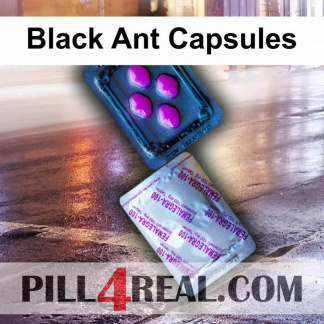 Black Ant Capsules 065