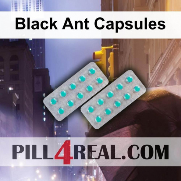 Black Ant Capsules 075