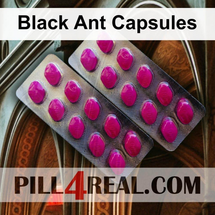 Black Ant Capsules 112