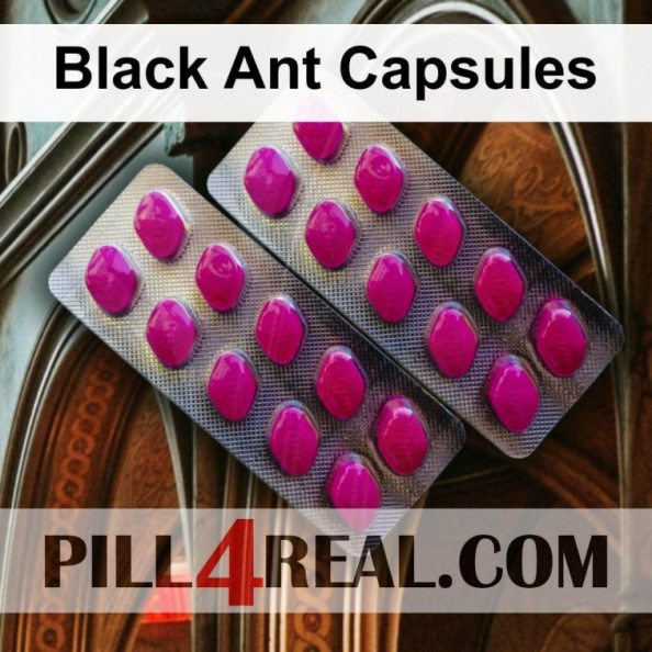 Black Ant Capsules 112