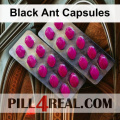 Black Ant Capsules 112