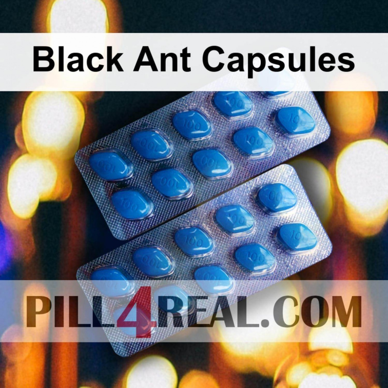 Black Ant Capsules 198