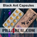 Black Ant Capsules 252