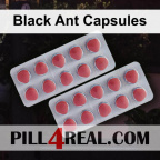 Black Ant Capsules 423