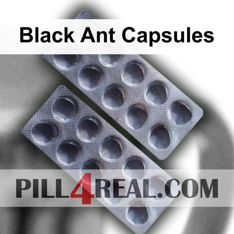 Black Ant Capsules 528
