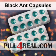 Black Ant Capsules 543