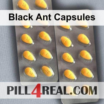 Black Ant Capsules 570