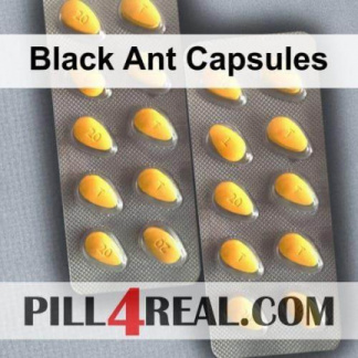 Black Ant Capsules 570
