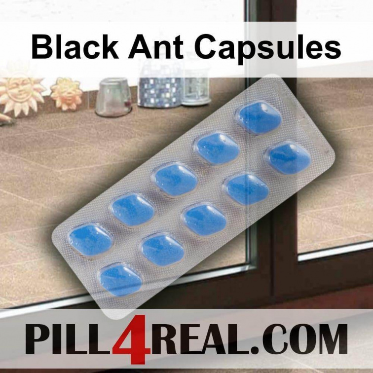 Black Ant Capsules 572