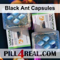 Black Ant Capsules 580