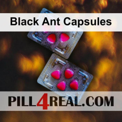Black Ant Capsules 582