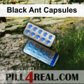 Black Ant Capsules 623