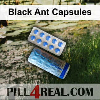 Black Ant Capsules 623
