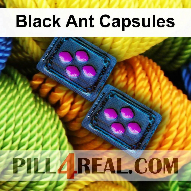 Black Ant Capsules 643