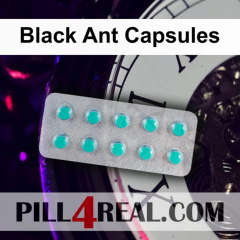 Black Ant Capsules 657