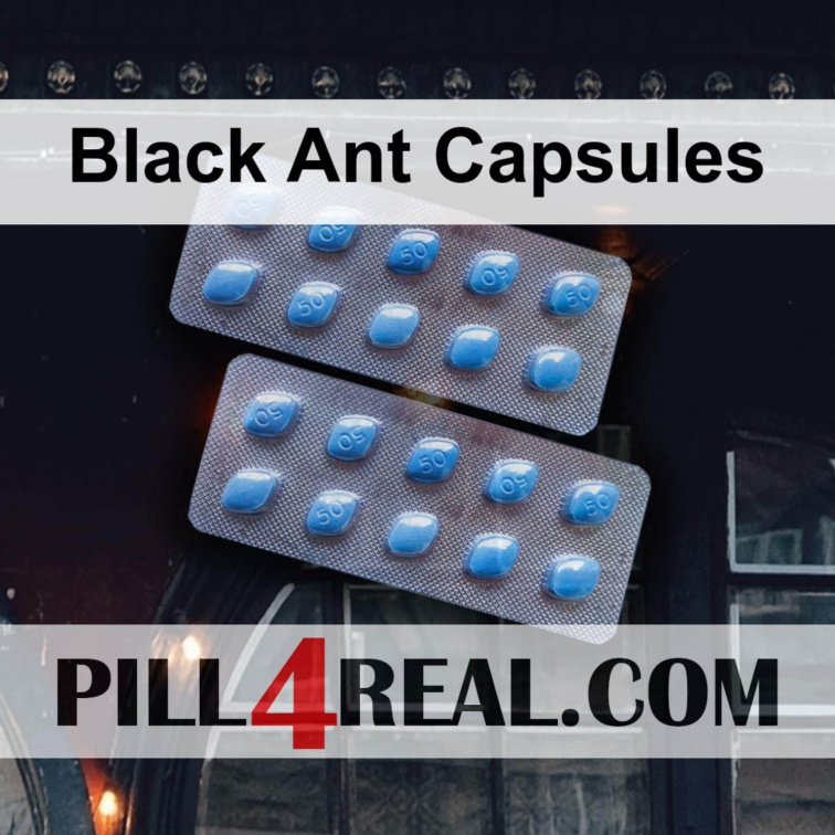 Black Ant Capsules 772