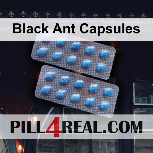 Black Ant Capsules 772
