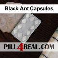 Black Ant Capsules 802
