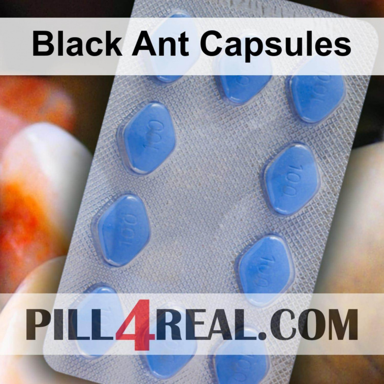 Black Ant Capsules 825