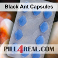 Black Ant Capsules 825