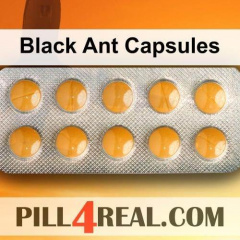 Black Ant Capsules 871