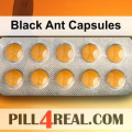 Black Ant Capsules 871