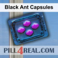Black Ant Capsules 985