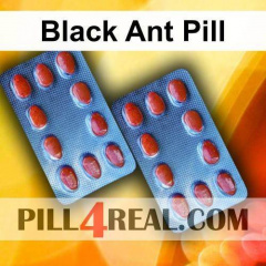 Black Ant Pill 002