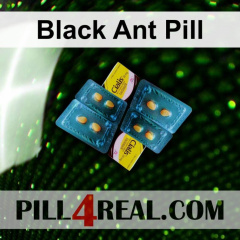 Black Ant Pill 023