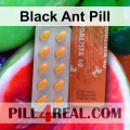 Black Ant Pill 091