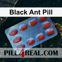 Black Ant Pill 102