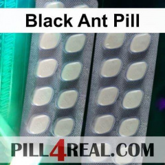 Black Ant Pill 113