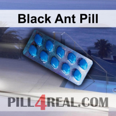 Black Ant Pill 252