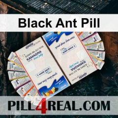 Black Ant Pill 312