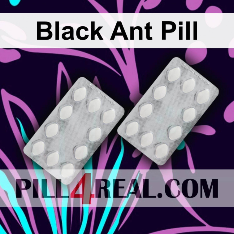 Black Ant Pill 410