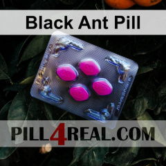 Black Ant Pill 426