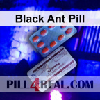 Black Ant Pill 440