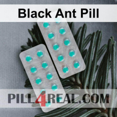Black Ant Pill 451