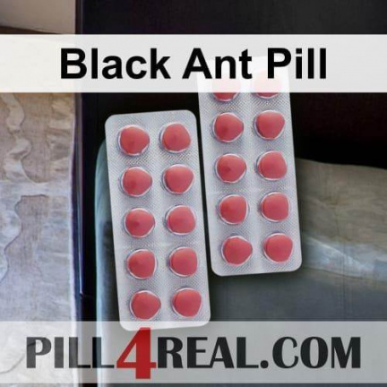 Black Ant Pill 477