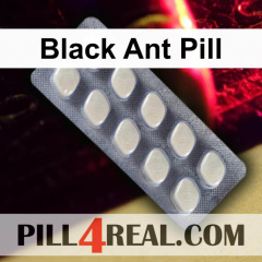 Black Ant Pill 577
